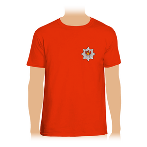Tee-shirt Pays-de-galles (SUD)